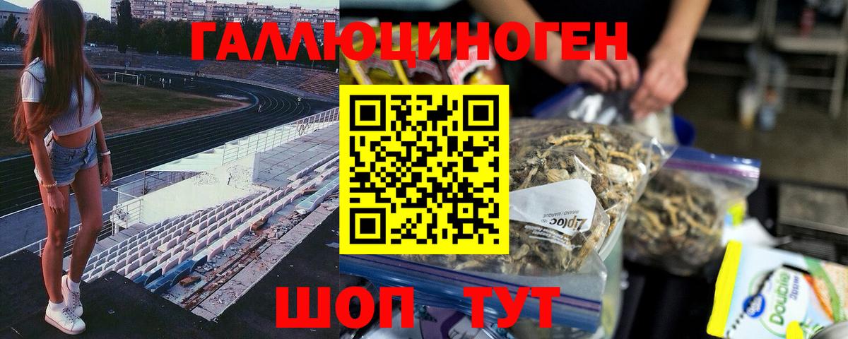 Псилоцибиновые грибы прущие грибы  Вход с VPN  Кинель 