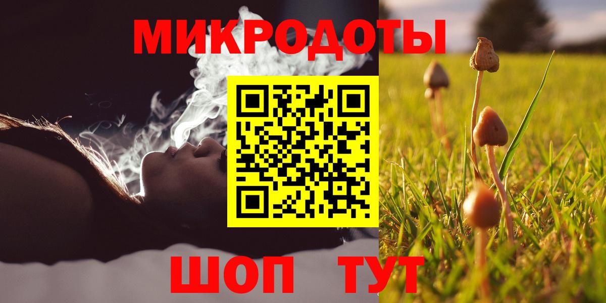 Галлюциногенные грибы прущие грибы Кинель